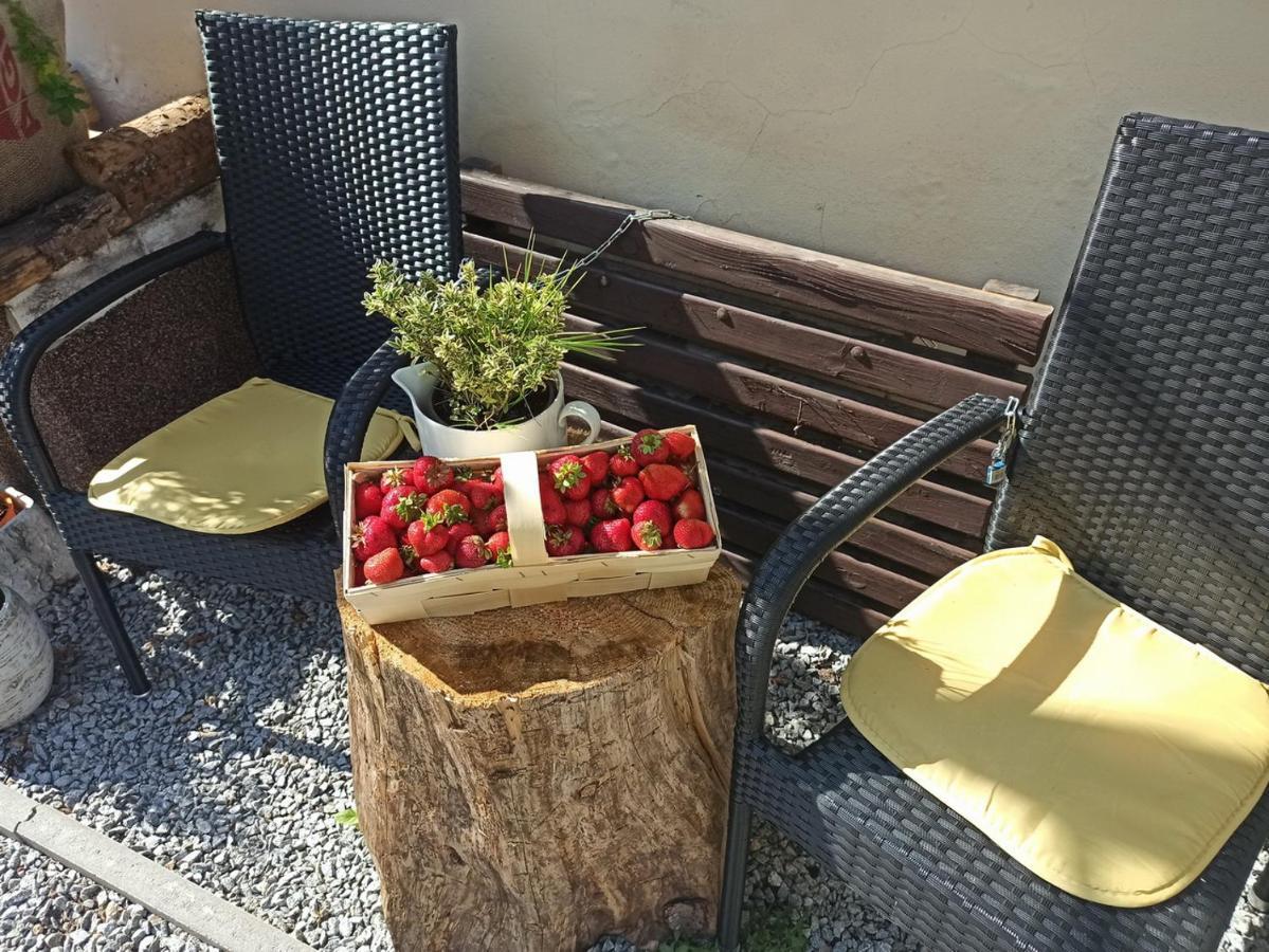 Ubytování Nové Hrady 111 - apartmány Žiaková Exterior foto